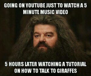 youtube-meme