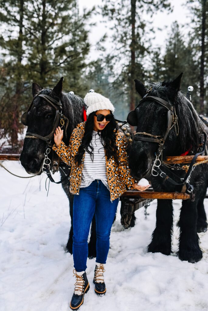 sleigh-ride-leavenworth-washington