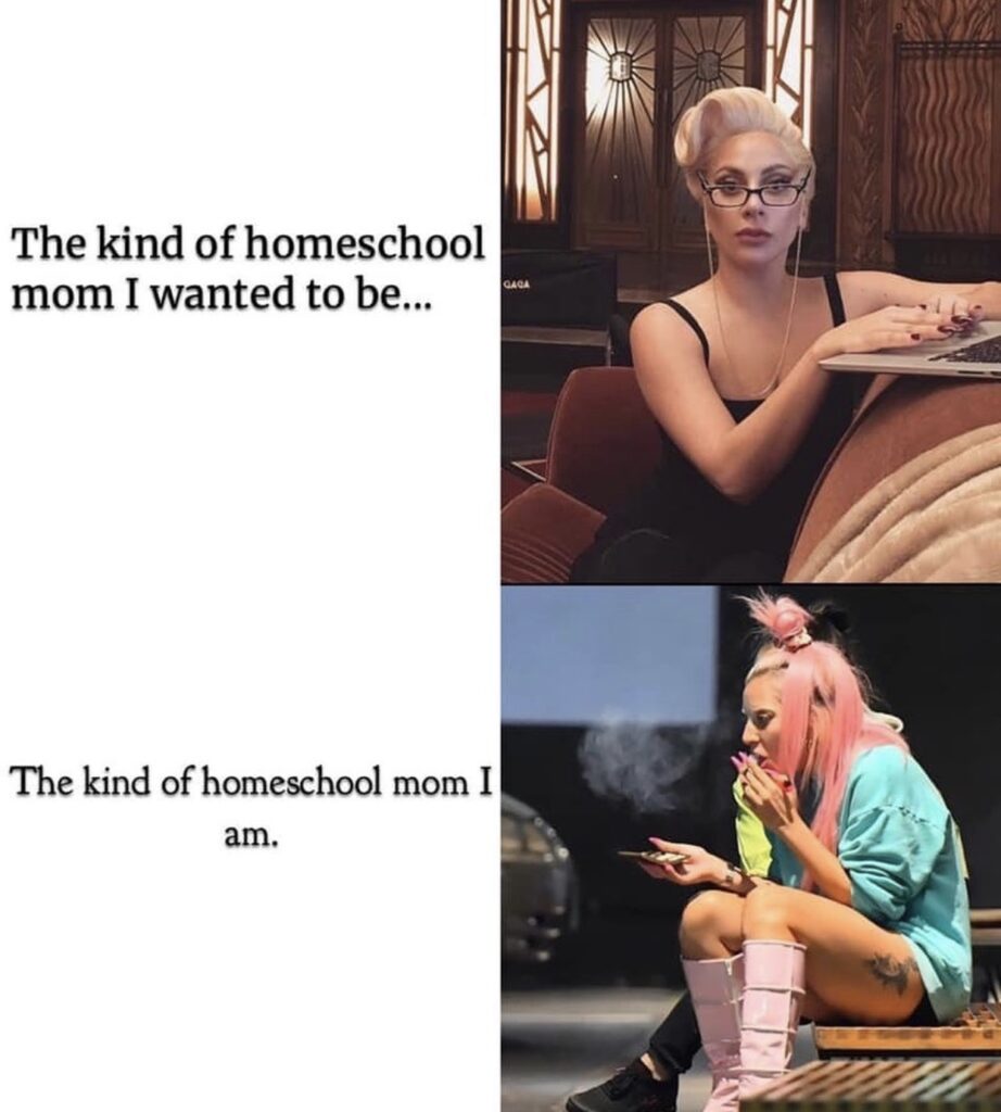homeschool-meme