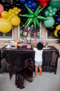 boys birthday party idea